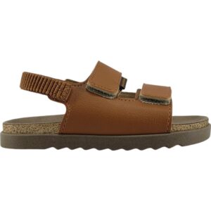 import placeholder for 9831